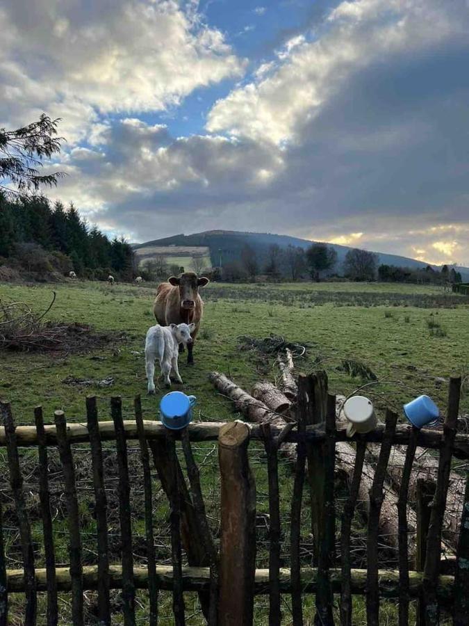 Aughavannagh Yurt Glamping Aughrim Luaran gambar