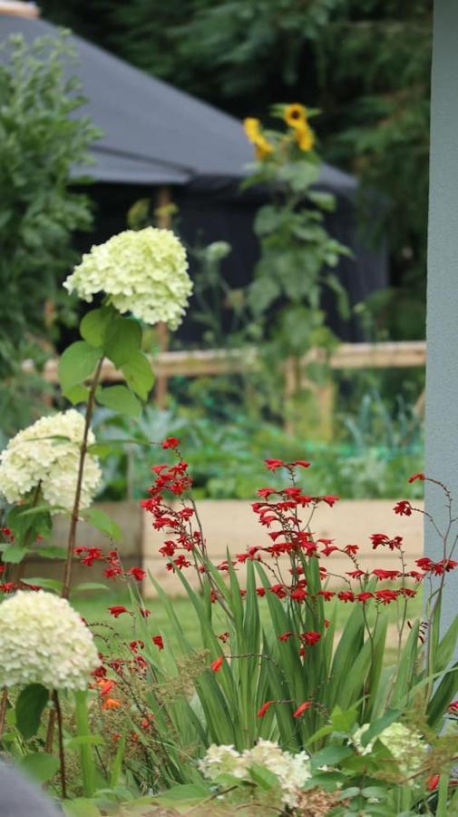 Aughavannagh Yurt Glamping Aughrim Luaran gambar