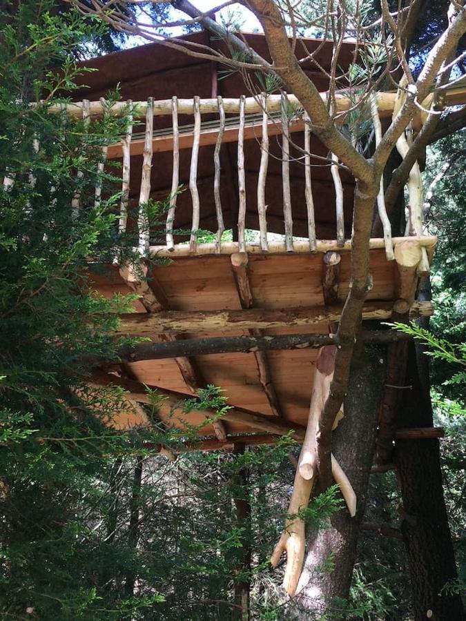 Aughavannagh Yurt Glamping Aughrim Luaran gambar