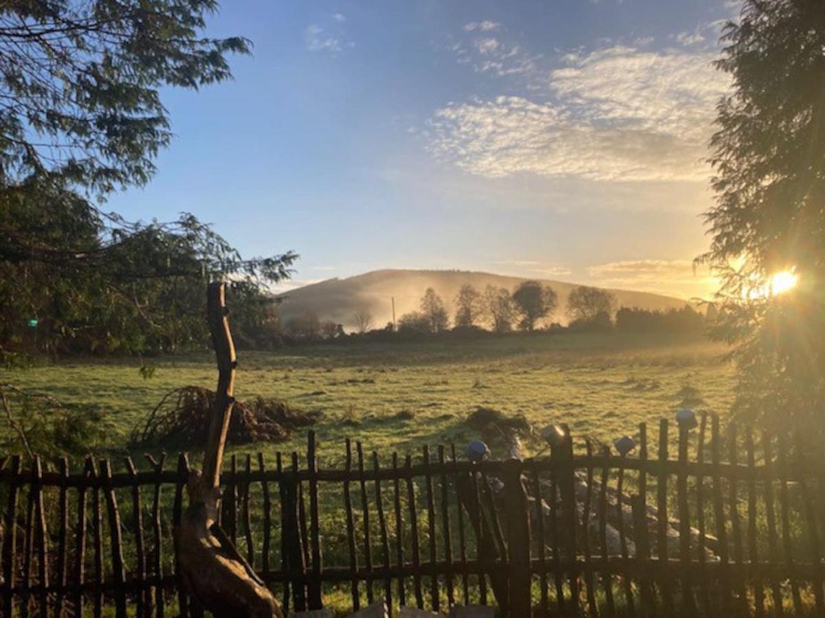 Aughavannagh Yurt Glamping Aughrim Luaran gambar