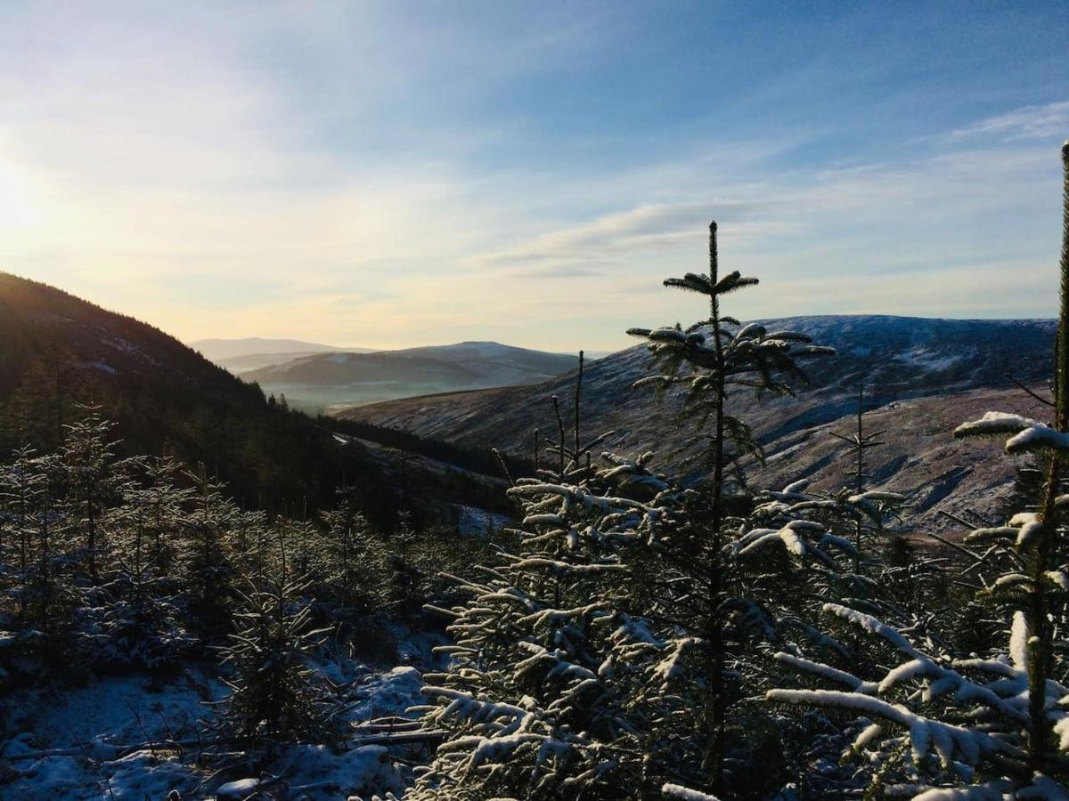 Aughavannagh Yurt Glamping Aughrim Luaran gambar